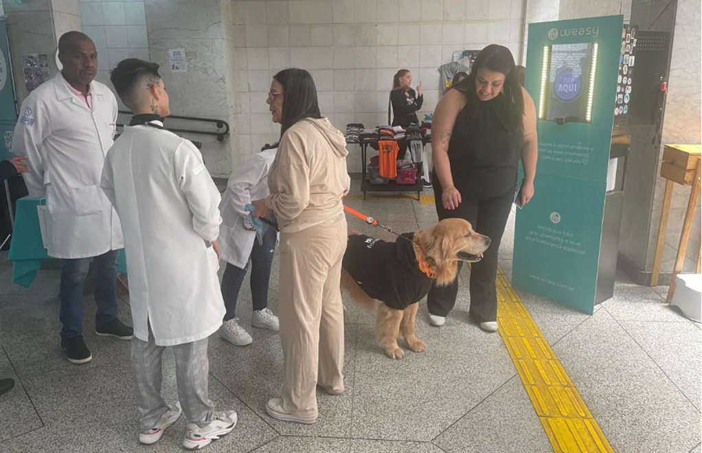Alunos de Medicina Veterinária da Campos Salles atendendo pets no evento Outubro Rosa PET em São Paulo